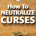 CHAPTER 12: How the Curse on Adam is Working Out