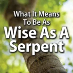 Chapter 17 - Masters at Subduing Spouses