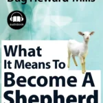 Chapter 14 - How To Become a Full Time Shepherd